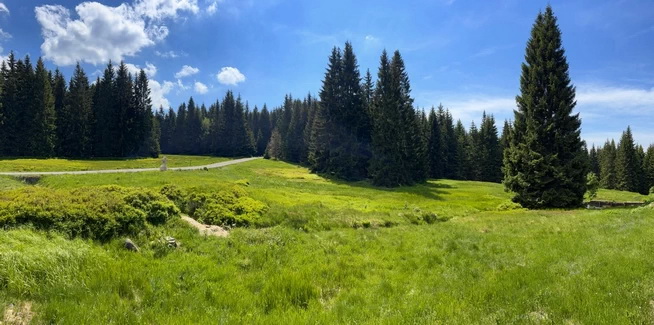 Panorama blízko odpočinkového místa Mariánskohorské Boudy