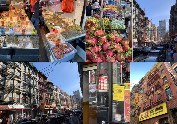 Chinatown je opravdu vlastní město ve městě. Na ulici si kupíte potraviny všech možných druhů a barev...