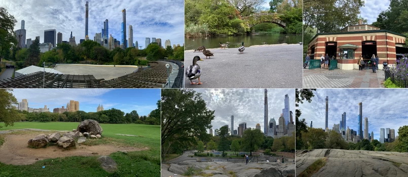 Tady jsou všechny ty kachny z rezerováru... Nedaleko kluziště v jižní části parku, kde se opodál na Umpire Rock slunní i občané New Yorku.