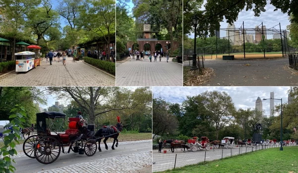 Nakonec Central Parku Zoo a přehled kočárů, které křižují park a nikde po tom není ani stopy... NEbo jsem měl štěstí?