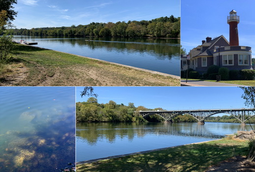 Schuylkill River, ve které najdete kromě silných proudů, škodlivých bakterií také malé milé želvičky